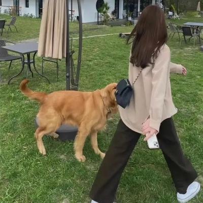 棱镜